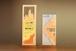 南宫NG28(中国)国际一举斩获“2024年度中国区最佳雇主”等多项大奖